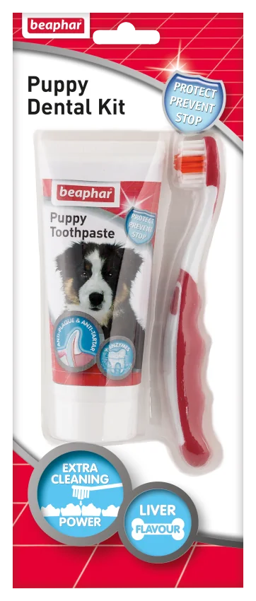 Beaphar Puppy Dental Kit Zestaw do nauki mycia zębów u szczeniąt, 1 szt.