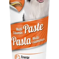 Beaphar MultiVit Paste pasta multiwitaminowa DOG dla psów, 100 g