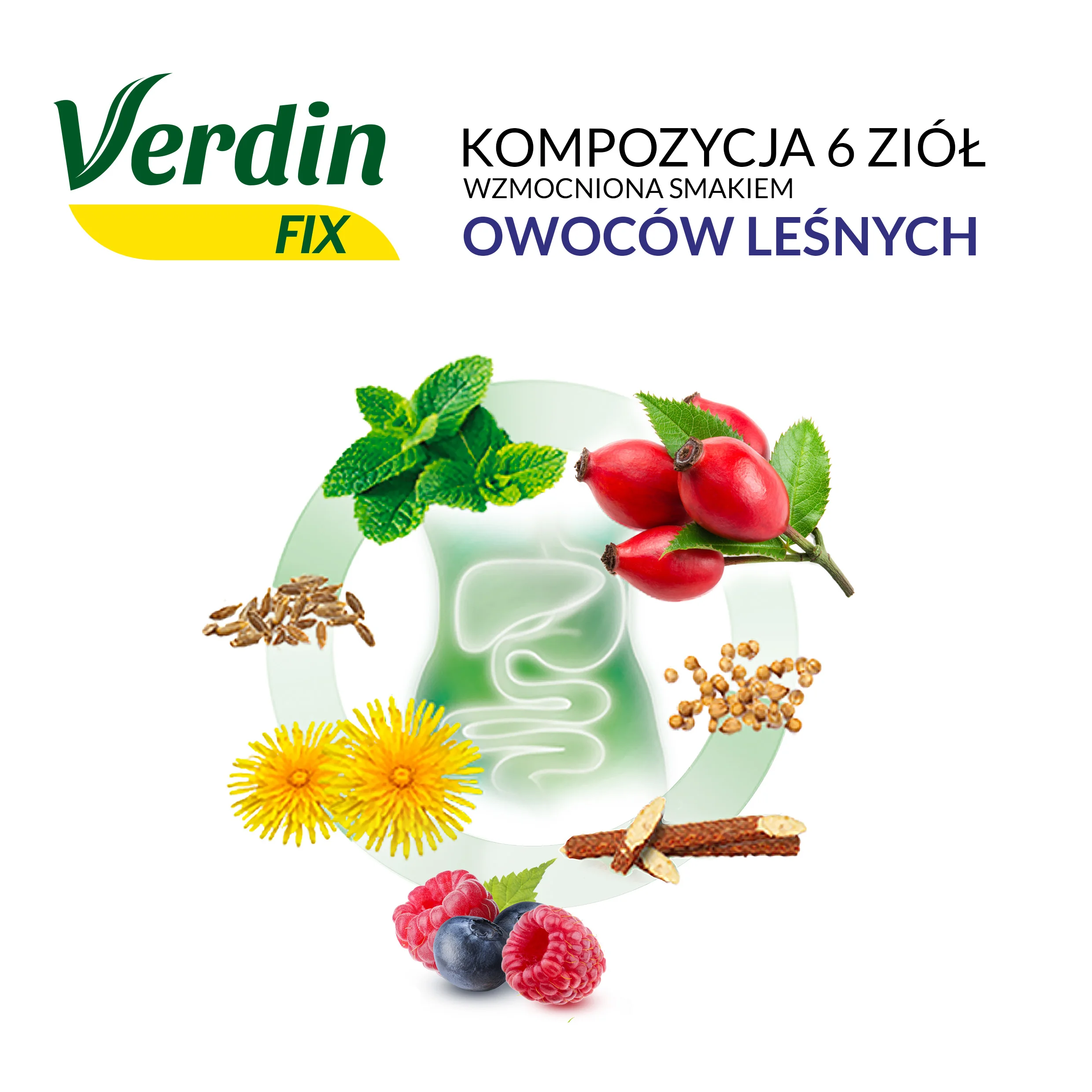 Verdin FIX z Owocami Leśnymi, suplement diety, 20 saszetek 