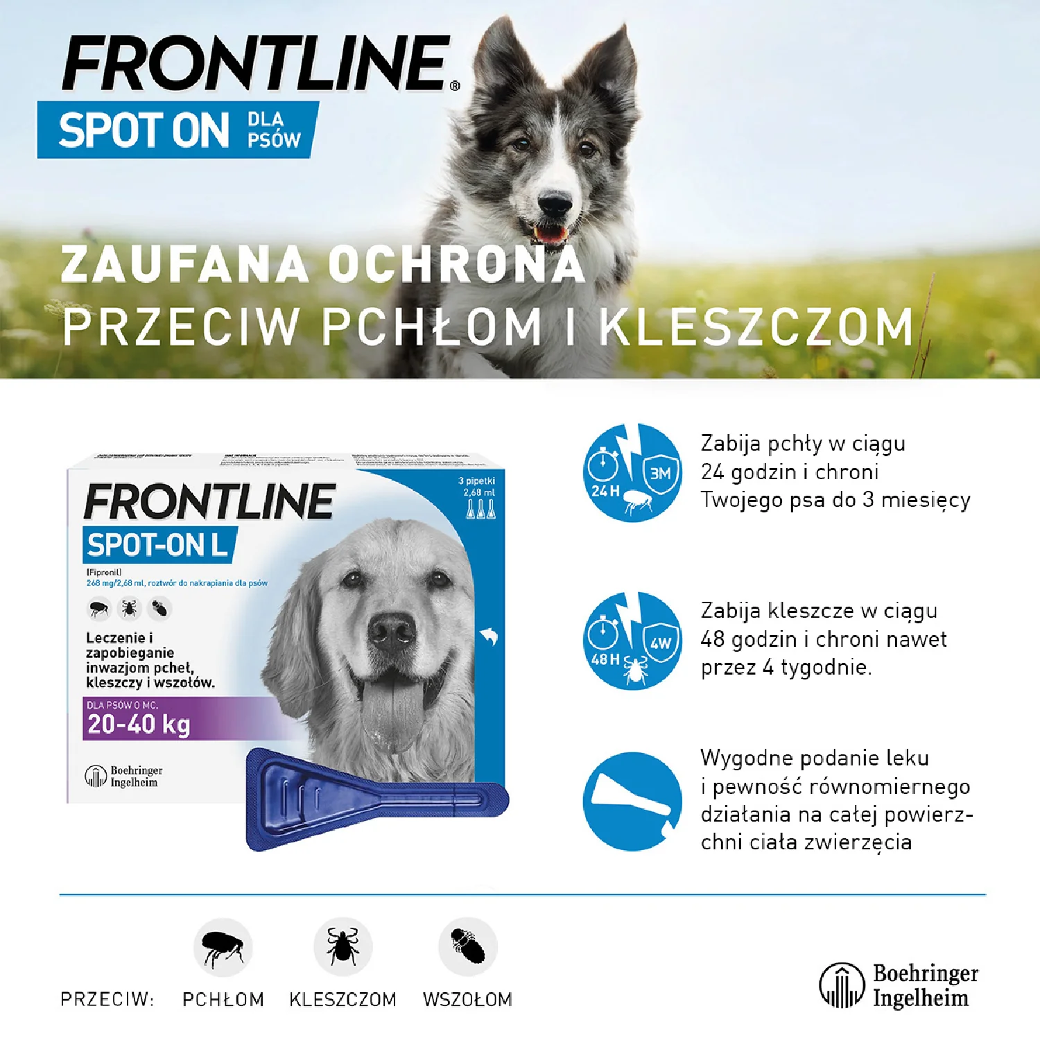 Frontline Spot-on L, 268 mg/2,68 ml, roztwór do nakrapiania dla psów 20-40 kg, 3 x 2,68 ml 