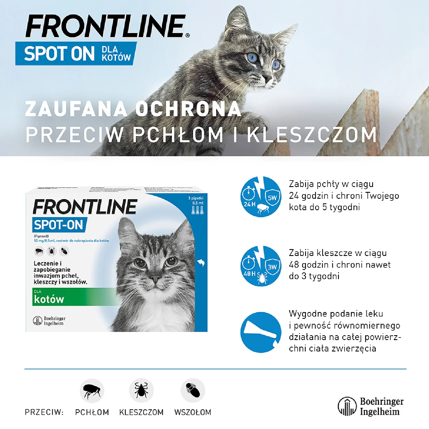 Frontline Spot-on, 50 mg/0,5 ml, roztwór do nakrapiania dla kotów, 3 x 0,5 ml 