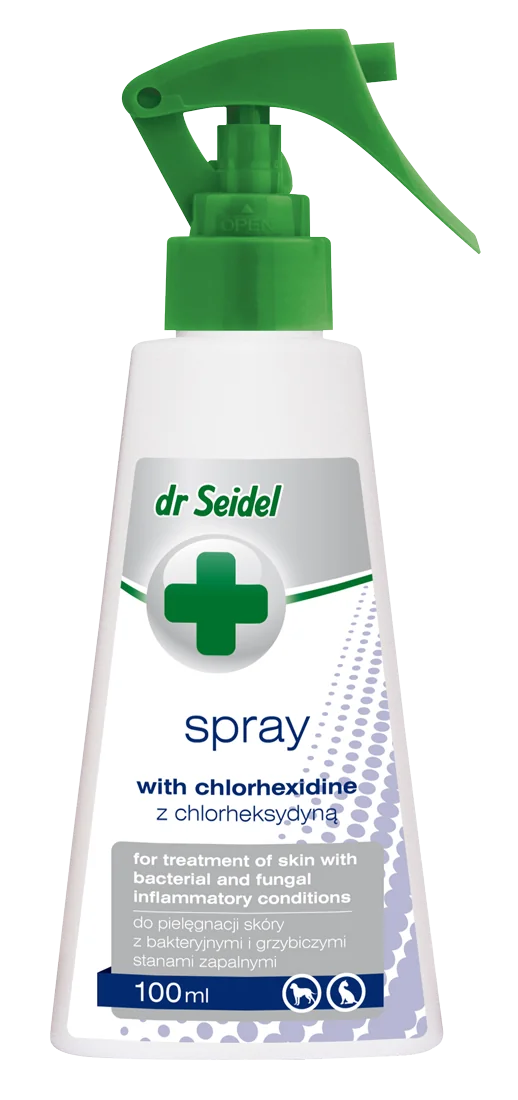 Dr Seidel Spray z chlorheksydyną do skóry z bakteryjnymi i grzybiczymi stanami zapalnymi, 100 ml