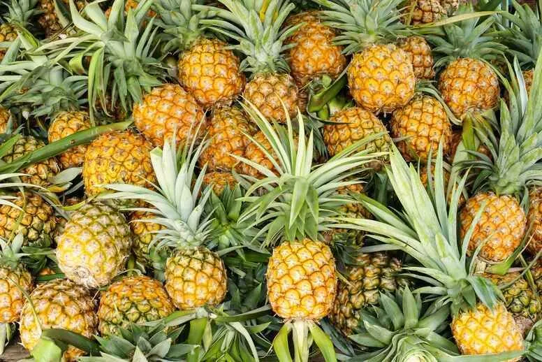 Ananas – zastosowanie, działanie, właściwości