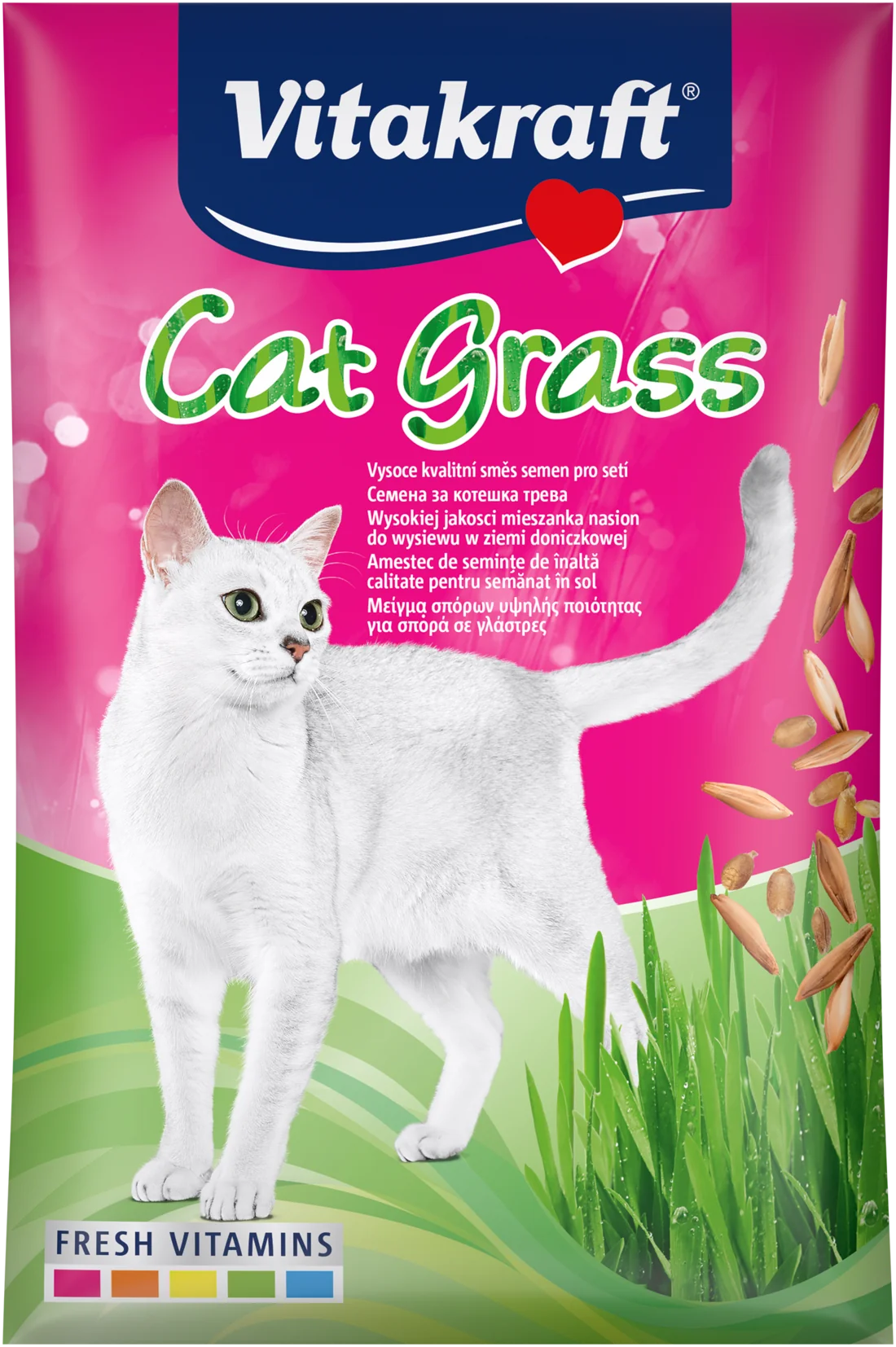 Vitakraft Cat Grass nasiona trawy dla kota, 50 g