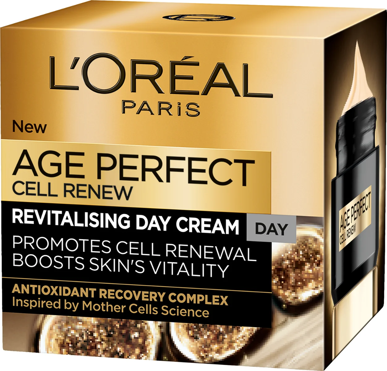 L'Oréal Paris Age Perfect Cell Renew krem przeciwzmarszczkowy na dzień, 50 ml