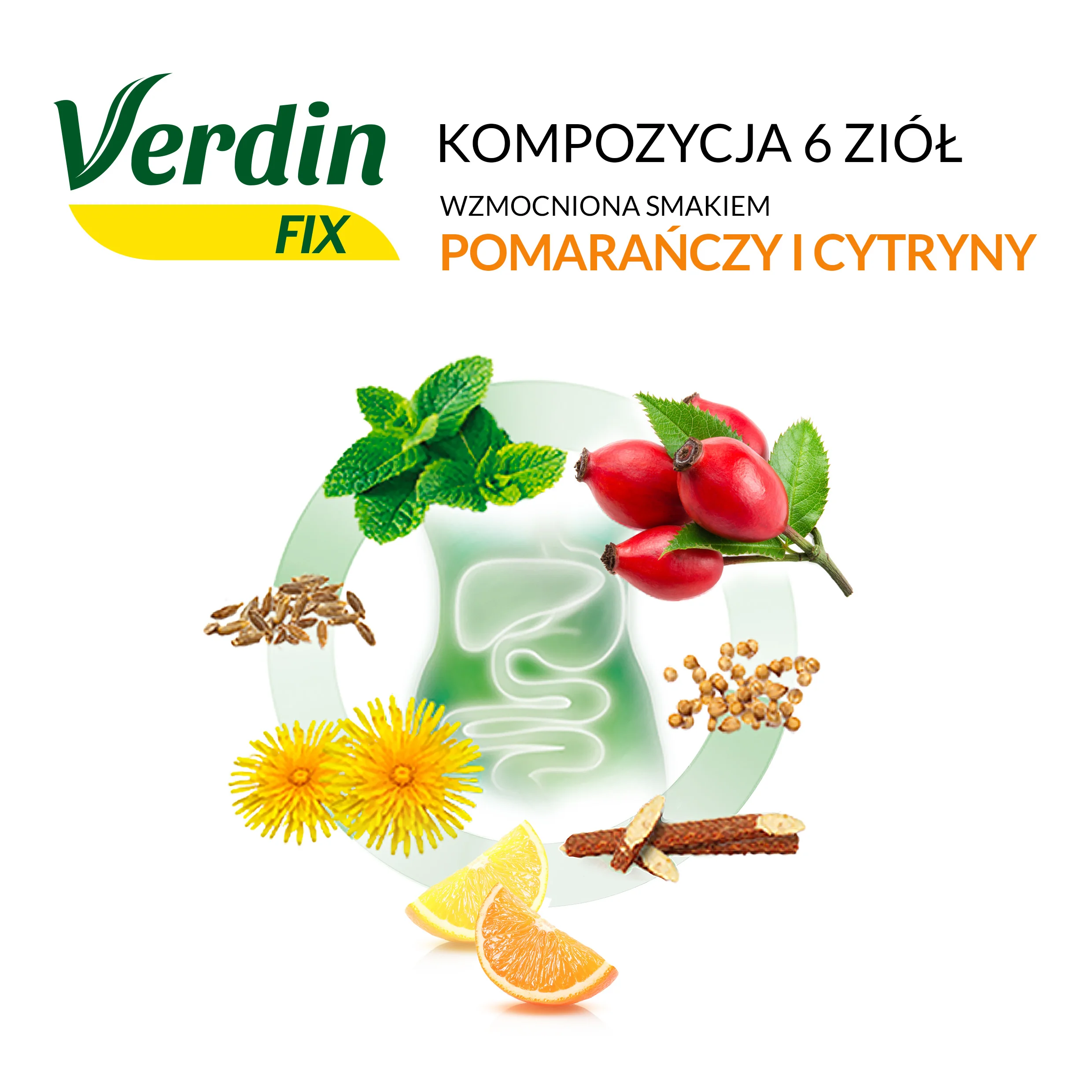 Verdin Fix z Cytrusami susz, 20 saszetek